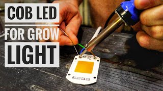 COB LED for DIY Grow Lights  Marijuana SA [upl. by Elata297]