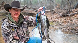 RIVER TROUT FISHING Primitive Catch amp Cook [upl. by Netsryk551]