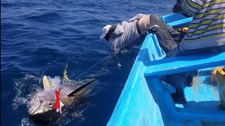 Yellowfin Tuna Fish Catching Skills In Indian Ocean Handline Fish Amazing Fishing Video  PART 1 [upl. by Anauqahc]