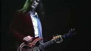 John Cipollina  Nick Gravenites Band Unviciouscircle [upl. by Odraode]