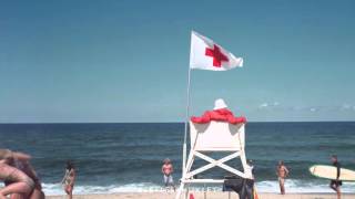 BeetlesHuxley Joel Meyerowitz On Cape Light [upl. by Yhtommit]