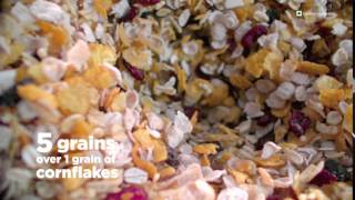 Saffola Multigrain Flakes  5 Grains Over Single Grain of Cornflakes [upl. by Coffeng8]