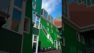 Let the colour spread zaandam netherlands netherlandstourism travel [upl. by Sremlahc87]