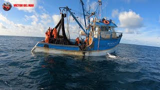 Mira La Pesca Artesanal de Bonito  Pesca de Bonito en Alta Mar [upl. by Kirit]