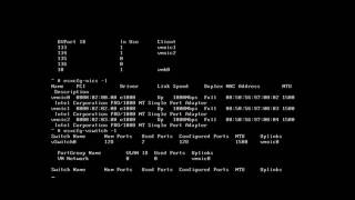 Restoring Connectivity in VMware ESXi [upl. by Oicafinob]