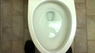 Bathroom Tour Comfort Inn American Standard Toilet and Urinal with Toto Toilet [upl. by Lexi]