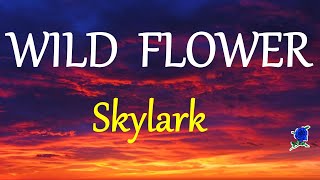 WILD FLOWER  SKYLARK lyrics HD [upl. by Nagoh341]