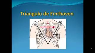 Triangulo de Einthoven [upl. by Grube161]