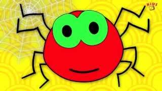 Incy Wincy Spider  Nursery Rhyme with Lyrics [upl. by Rabah833]