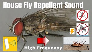 Anti Flies Repellent Sound  Ultrasonic Sound  High Frequency  House Fly Killer highfrequency [upl. by Atil]