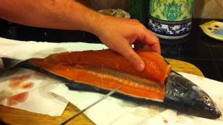 How to Fillet a Pink Salmon [upl. by Hen]