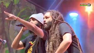 ALBOROSIE amp Shengen Clan ft DUANE STEPHENSON amp members of THE WAILERS live  Main Stage 2018 [upl. by Catton228]