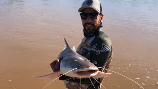 PESCA DE PIRAÍBA FILHOTE  RIO ARAGUAIA [upl. by Ayekan]