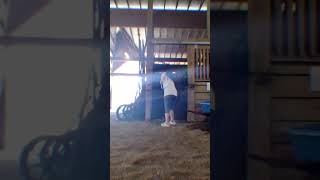 What I do at the Stables ghostlyencounters paranormalactivity duet ghostlyadventures [upl. by Attlee]