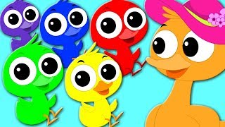 Five Little Ducks Went Swimming One Day  Nursery Rhymes  Baby Songs  Kids Rhymes  Kids TV [upl. by Celik]