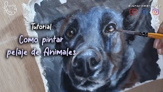 Como pintar pelo de animal  pintura de animales  Tutorial  Diana Lunarte [upl. by Stoddard]