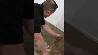 Sump Pump In Basement [upl. by Descombes]