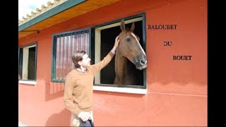 Hommage  Baloubet du Rouet [upl. by Annayrb]