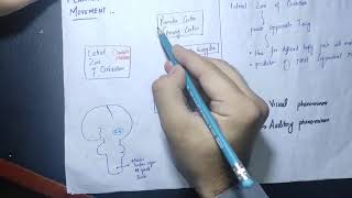 guyton chapter 57 part 6 function of cerebellum dampingcerebrocerebellumclinicals of cerebellum [upl. by Lemay]