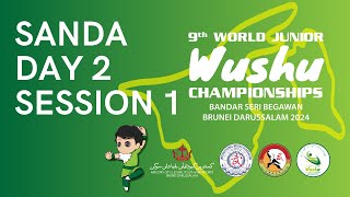 9th World Junior Wushu Championships Day2  Sanda Session 1 [upl. by Meir]