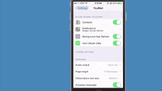 How to Activate or Deactivate Debug Mode on an iPhone [upl. by Crim]