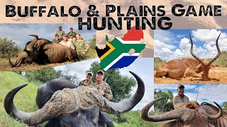 Hunt Buffalo and Plains Game in South Africa with Mabula Pro Safaris and African Sun Productions [upl. by Dorsey]