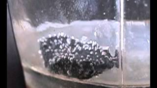 Radioactive Uraninite BUBBLES in salt water and turns BLUEHutchison Effect [upl. by Aniri735]