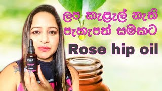 Cliara rose hip oil  rose hip oil for fair and clear skin Cliara Essential oil රෝස් හිප් ඔයිල් [upl. by Tamaru]