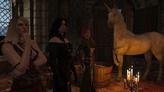 Triss Yennefer and Keira surprise Geralt  Witcher 3 [upl. by Akilat]