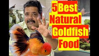 5 best Goldfish foods  Goldfish Aquarium  Mayur Dev Aquascaper  Natural Aquarium Fish Food [upl. by Rehptosirhc412]