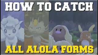 HOW TO CATCH ALL ALOLA FORMS IN POKEMON SWORD AND SHIELD HOW TO GET ALOLAN FORMS [upl. by Fanchan]