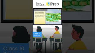 Fragmentation  How Do Organisms Reproduce  Science  Class 10  iPrep iprep learningapp [upl. by Yajet]