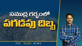 పసిఫిక్ మహాసముద్రం  సముద్ర గర్భంలో పగడపు దిబ్బ Pacific Ocean [upl. by Claudia988]