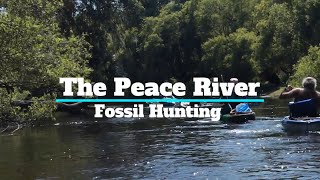 Fossil Hunting with the Kayak Junkies  Peace River  Florida [upl. by Panaggio]