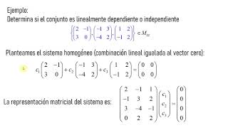 Dependencia e Independencia Lineal Definición y Ejemplo [upl. by Cralg]