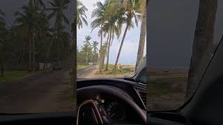 Vadanappally kerala nature naturelovers beach youtubeshorts [upl. by Mellins196]