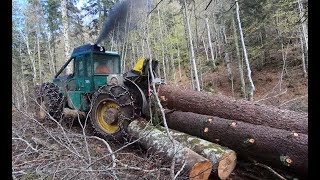 TImberjack pulling logs [upl. by Aiksas]