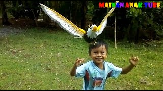 Mainan Burung Elang Bisa Terbang [upl. by Rehpotsrihc]