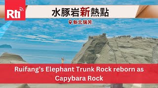 Ruifang’s Elephant Trunk Rock reborn as Capybara Rock  Taiwan News  RTI [upl. by Lukasz]