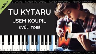 Tu kytaru jsem koupil kvůli tobě  Václav Neckář  Pelíšky piano tutorial  jak hrát  klavír [upl. by Wylma706]