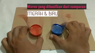 Hasil dari campuran warna merah dan biru [upl. by Lola396]