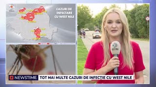 NEWSTIME 22082024  Tot mai multe cazuri de infectie cu west nile [upl. by Charmion]