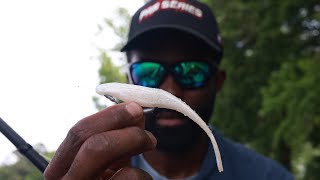 My Soft Plastic Jerkbait System  Bass Fishing Tackle Tutorial [upl. by Woodring]