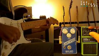 Nobels ODR1 vs Greer Amps Lightspeed Organic Overdrive [upl. by Kaete]