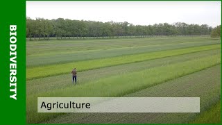 Biodiversity and agriculture with Dirk van Apeldoorn [upl. by Adriaens]