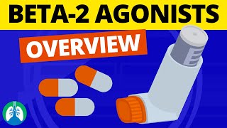 Beta2 Adrenergic Agonists Medications OVERVIEW  Bronchodilators [upl. by Ylloj174]