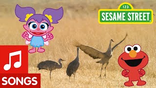 Sesame Street Dance Like A Crane  Animal Dance 2 [upl. by Pearle]