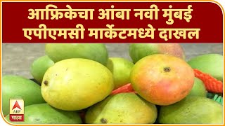 African mango  आफ्रिकेचा आंबा नवी मुंबई एपीएमसी मार्केटमध्ये दाखल  ABP Majha [upl. by Erdnaxela]