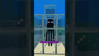 Cómo torturar a un enderman en Minecraft 🤫 [upl. by Enelyad]