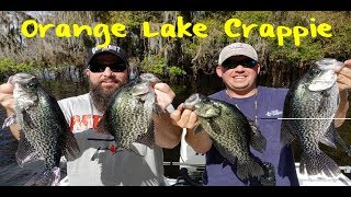 Crappie Fishing Floridas Orange Lake [upl. by Venezia]